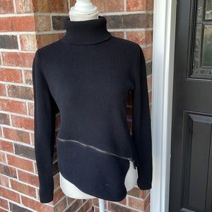 Banana Republic Thick Turtleneck Sweater